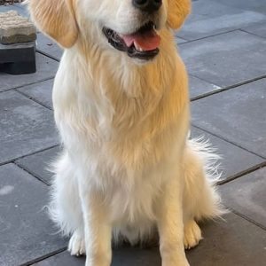 BARF-Futterplan GROW